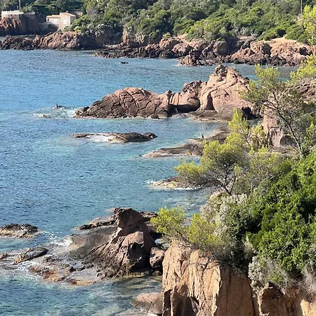 Dans Pieds Dans L'eau Saint-Raphael (Var)